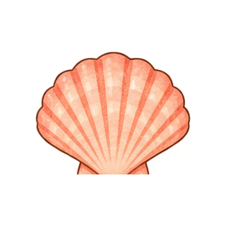貝がらのイラスト