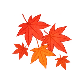 もみじのイラスト