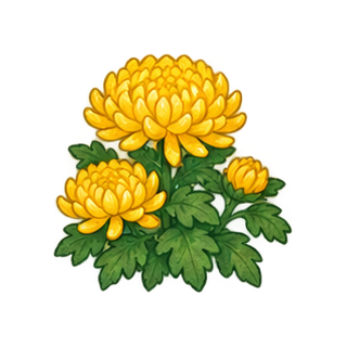 菊の花のイラスト