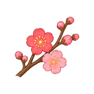 梅の花のイラスト