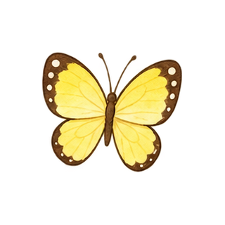 ちょうちょのイラスト