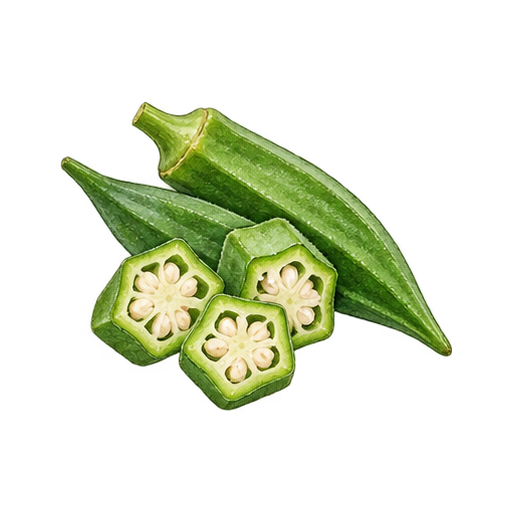 オクラのイラスト