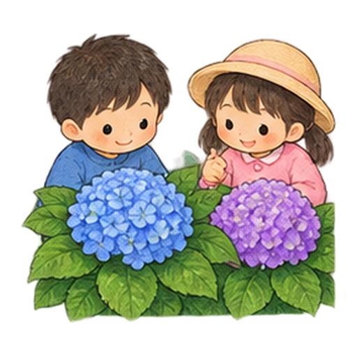 あじさいの色比べのイラスト