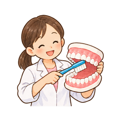 歯の模型で磨き方を学ぶのイラスト